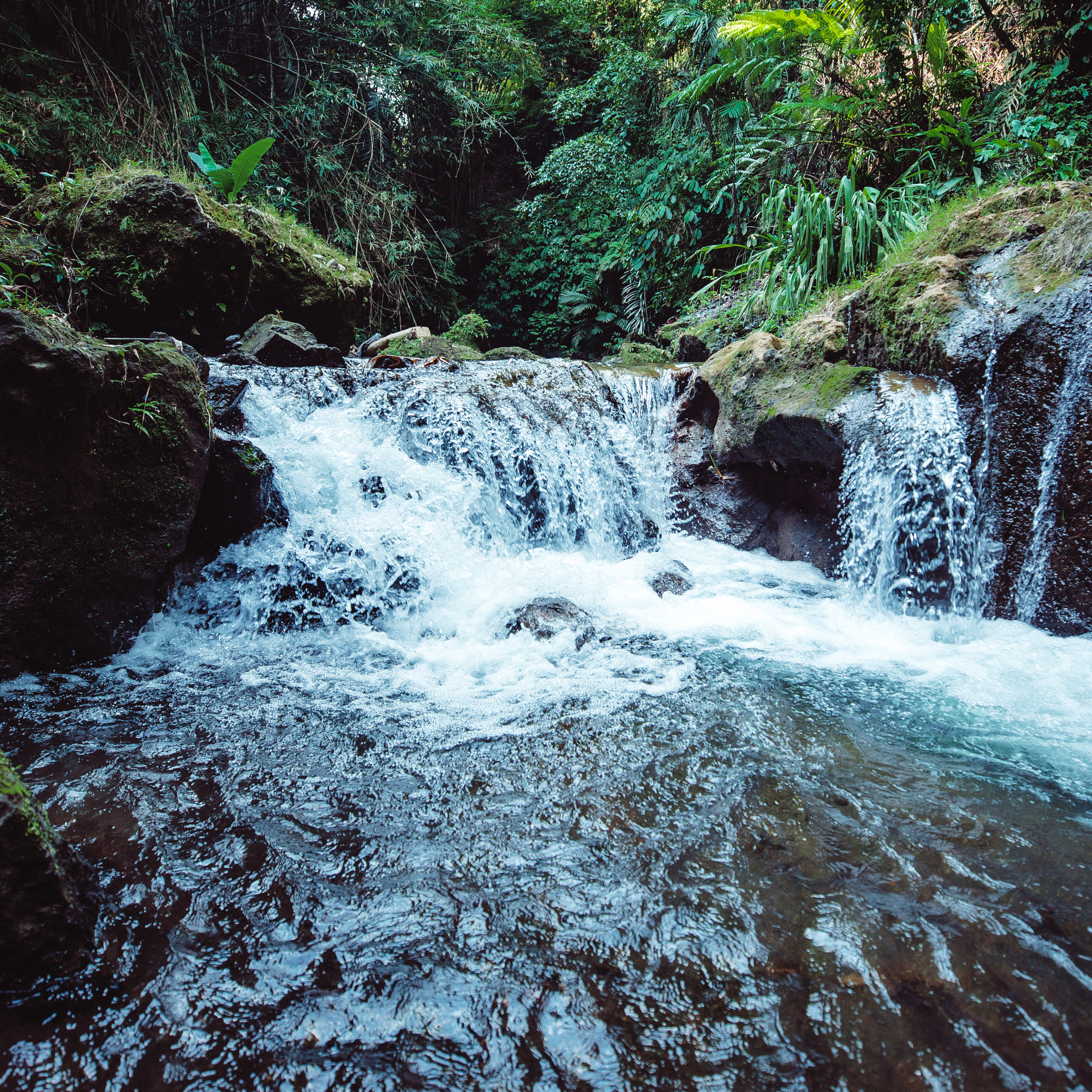 NOVEMBRO - ZINIA (5)